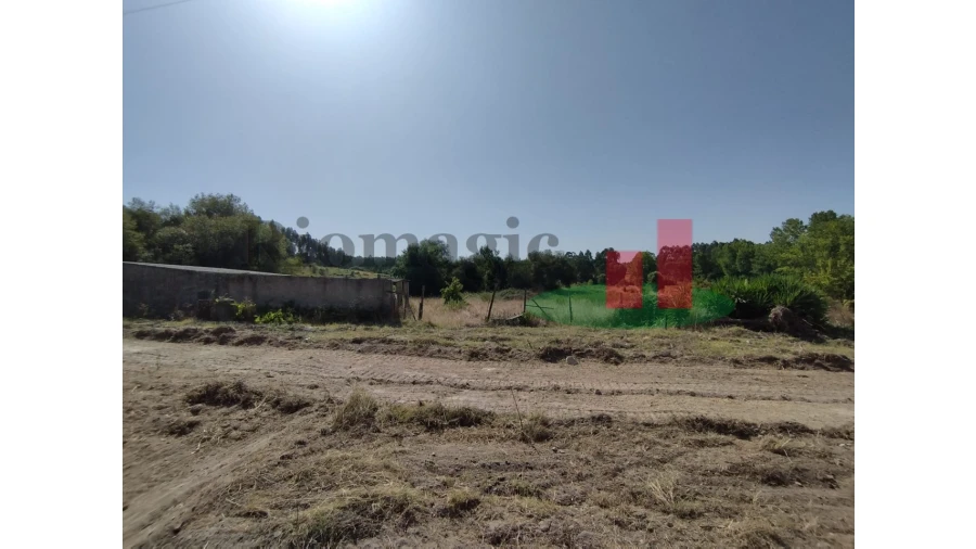 Quinta T2 para Venda em Rio Maior Foto 47