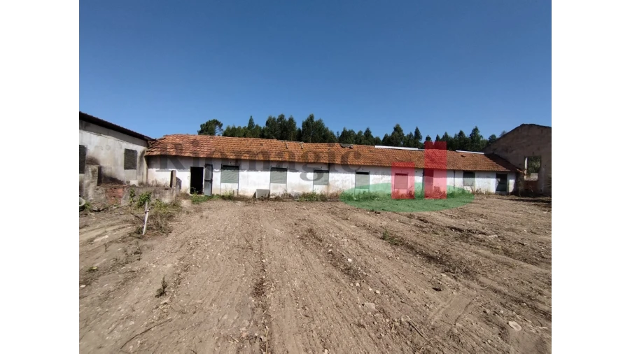 Quinta T2 para Venda em Rio Maior Foto 49