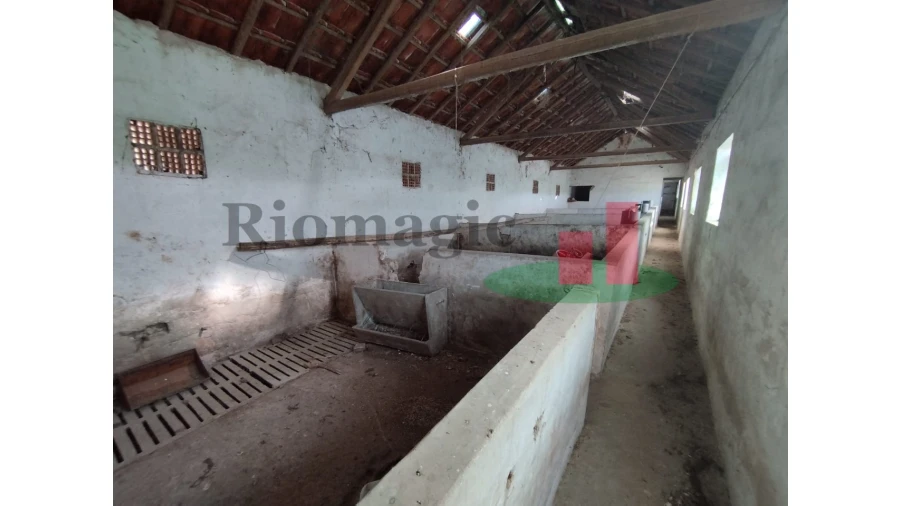 Quinta T2 para Venda em Rio Maior Foto 61