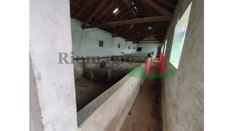 Quinta T2 para Venda em Rio Maior Foto 62