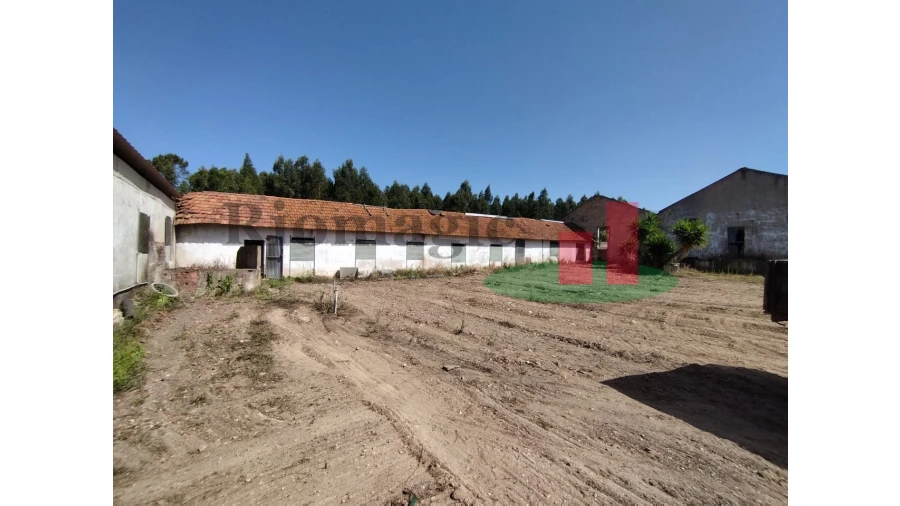 Quinta T2 para Venda em Rio Maior Foto 66