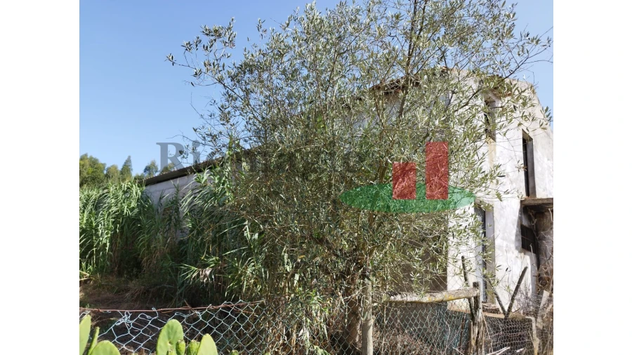 Quinta T2 para Venda em Rio Maior Foto 71