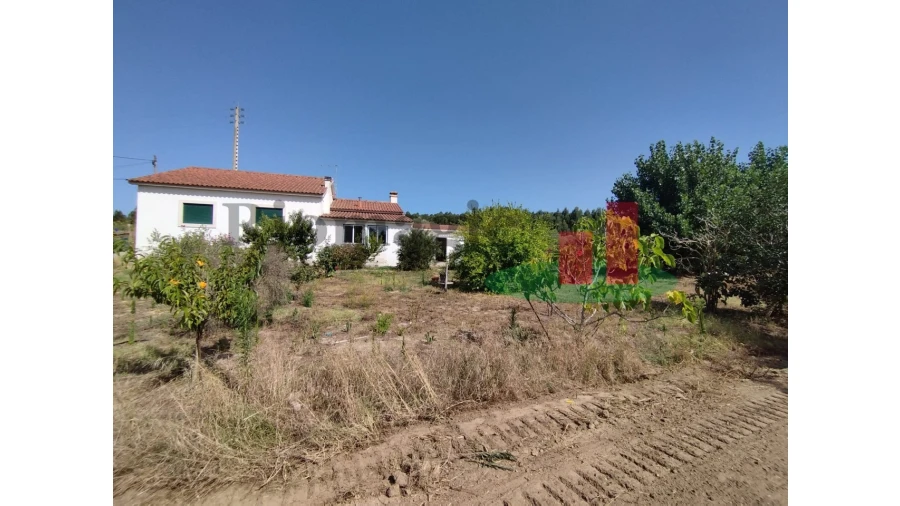 Quinta T2 para Venda em Rio Maior Foto 74