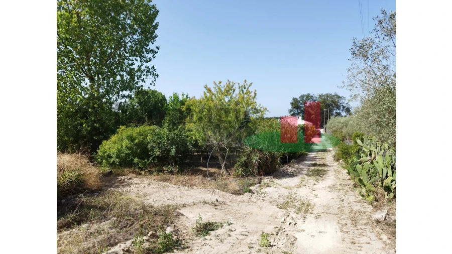 Quinta T2 para Venda em Rio Maior Foto 75