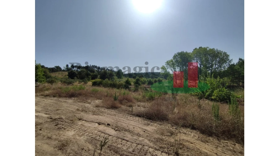Quinta T2 para Venda em Rio Maior Foto 76