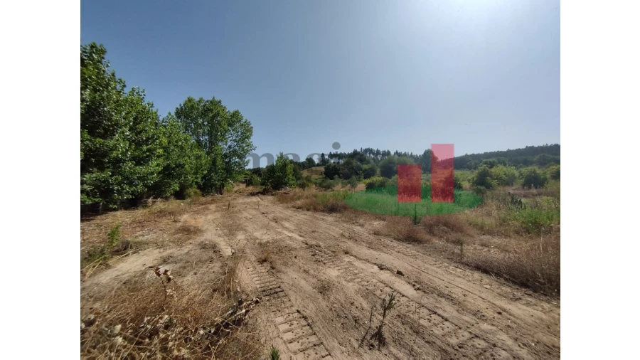 Quinta T2 para Venda em Rio Maior Foto 77