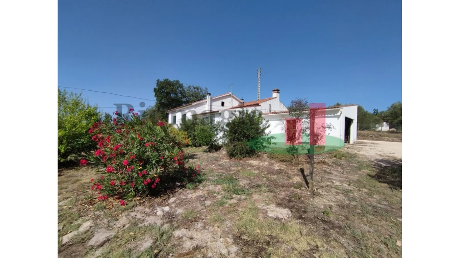 Quinta T2 para Venda em Rio Maior Foto 79