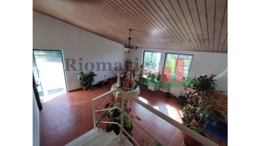 Quinta T2 para Venda em Rio Maior Foto 107