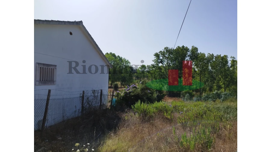 Quinta T2 para Venda em Rio Maior Foto 120