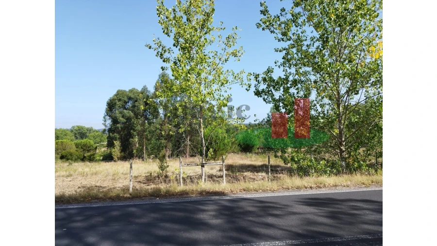 Quinta T2 para Venda em Rio Maior Foto 127