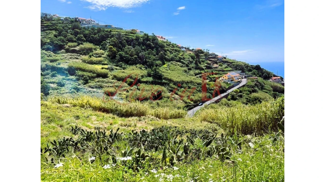 Terreno para Venda em Ribeira Brava Foto 5