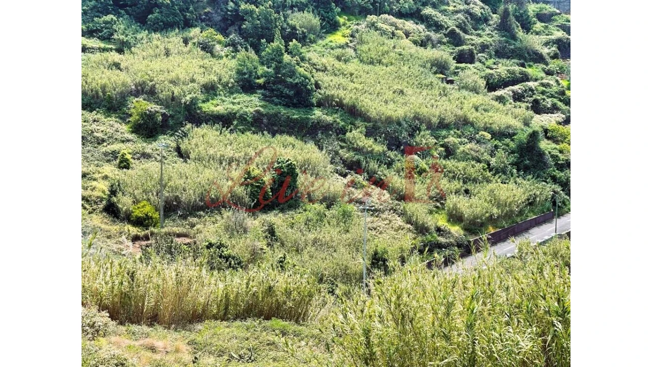 Terreno para Venda em Ribeira Brava Foto 7