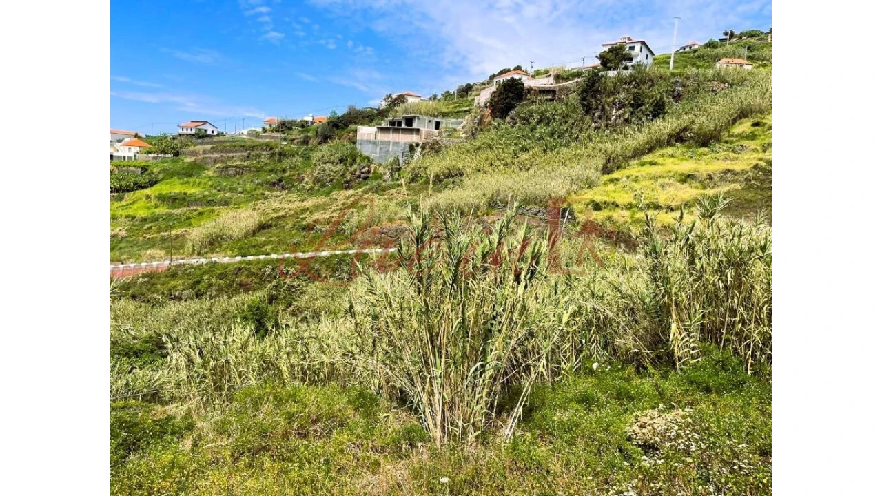 Terreno para Venda em Ribeira Brava Foto 6