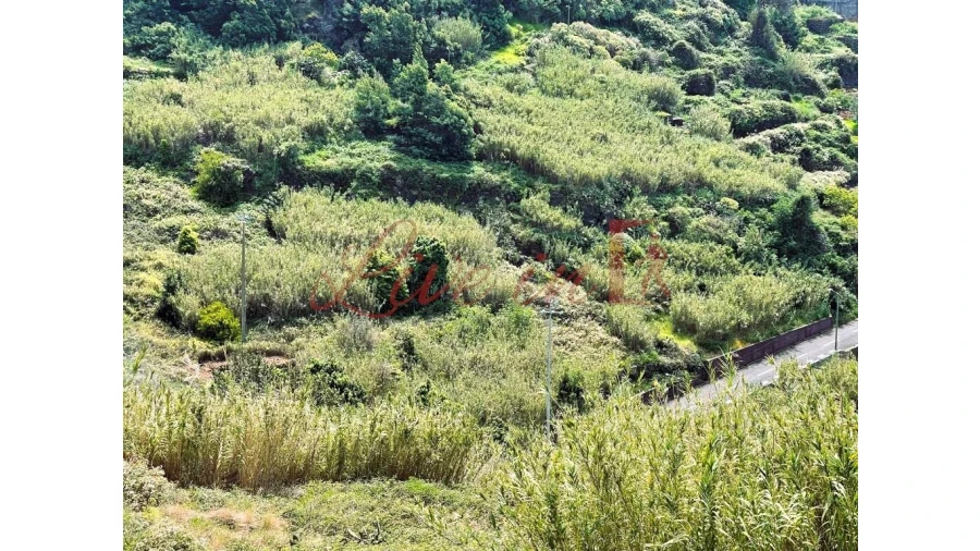 Terreno para Venda em Ribeira Brava Foto 7