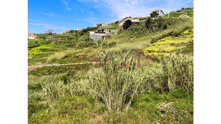 Terreno para Venda em Ribeira Brava Foto 6
