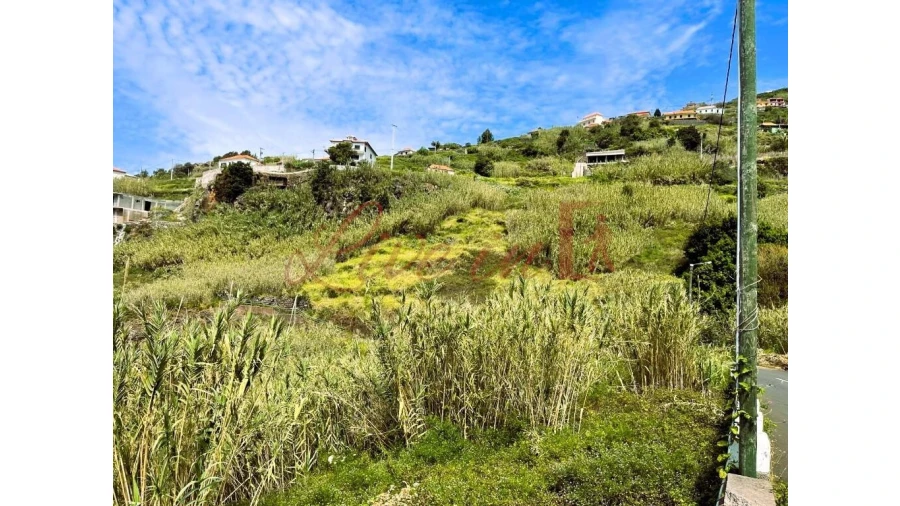 Terreno para Venda em Ribeira Brava Foto 2