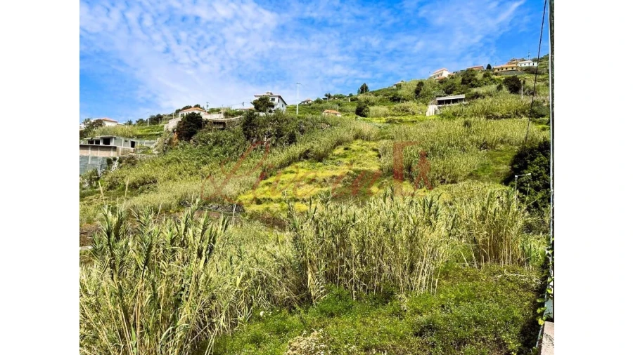 Terreno para Venda em Ribeira Brava Foto 9