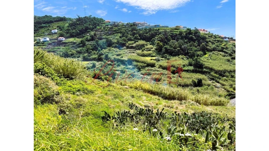 Terreno para Venda em Ribeira Brava Foto 4