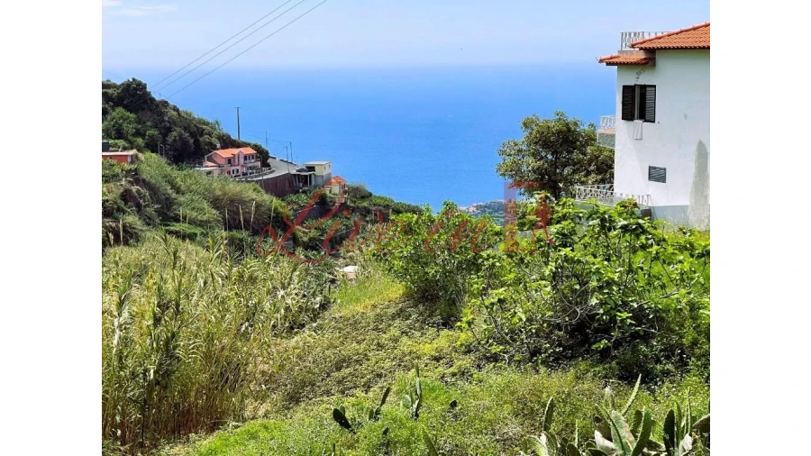 Terreno para Venda em Ribeira Brava Foto 11