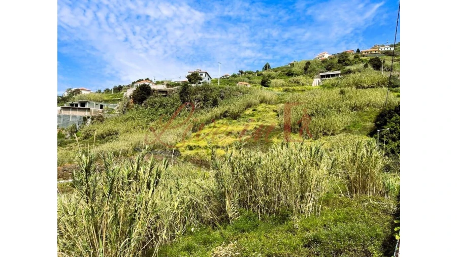 Terreno para Venda em Ribeira Brava Foto 8