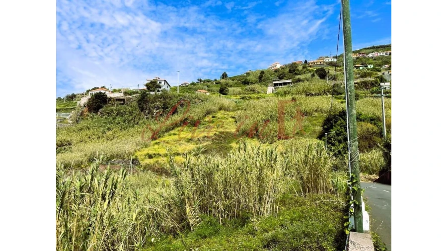 Terreno para Venda em Ribeira Brava Foto 12