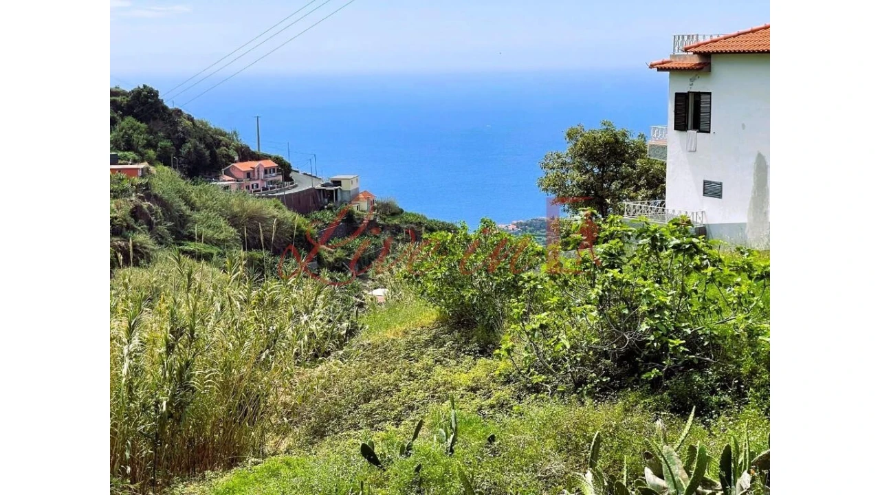 Terreno para Venda em Ribeira Brava Foto 11