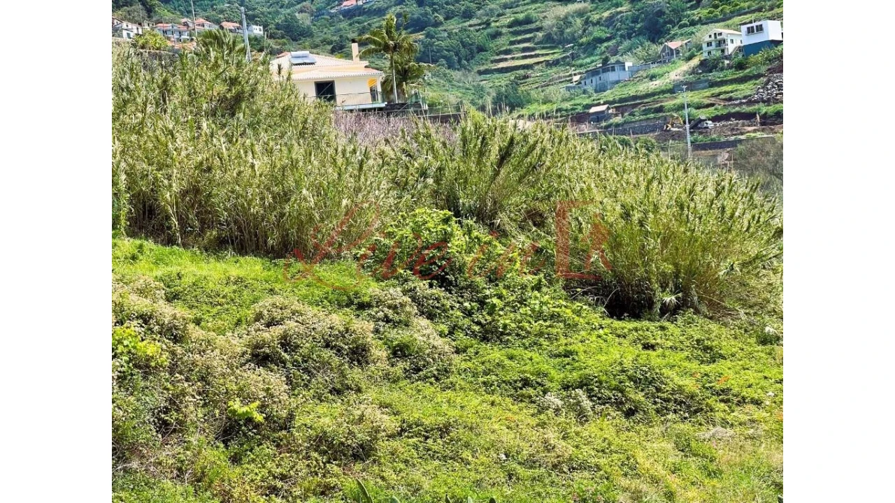 Terreno para Venda em Ribeira Brava Foto 3