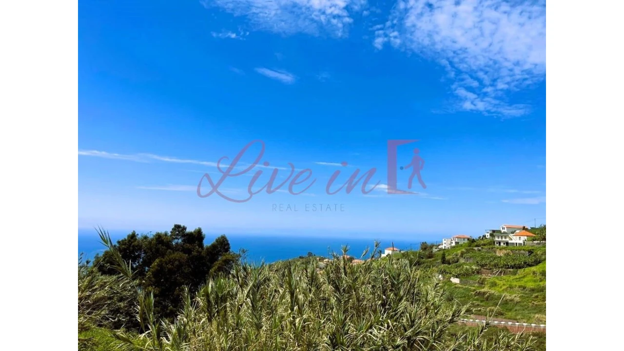 Terreno para Venda em Ribeira Brava Foto 10
