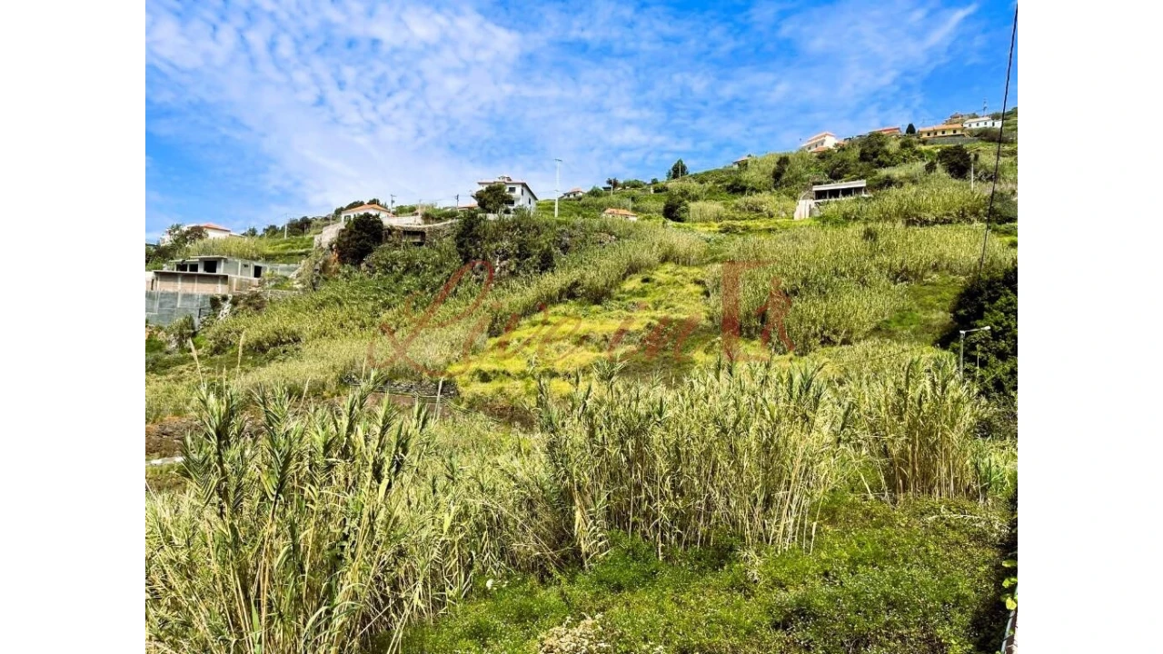 Terreno para Venda em Ribeira Brava Foto 8