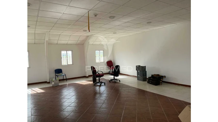 Terreno para Arrendamento em Abrigada e Cabanas de Torres Foto 7