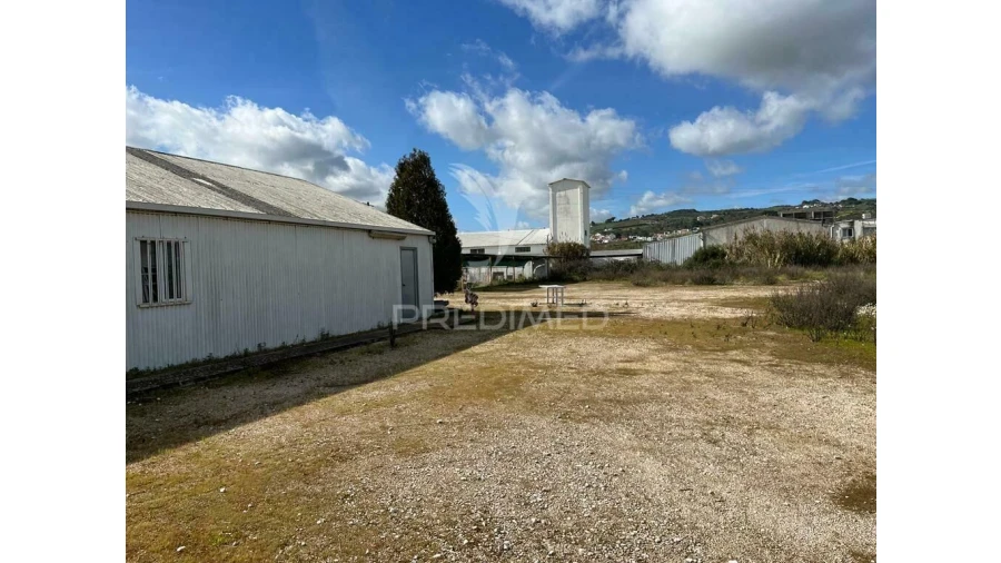 Terreno para Arrendamento em Abrigada e Cabanas de Torres Foto 5