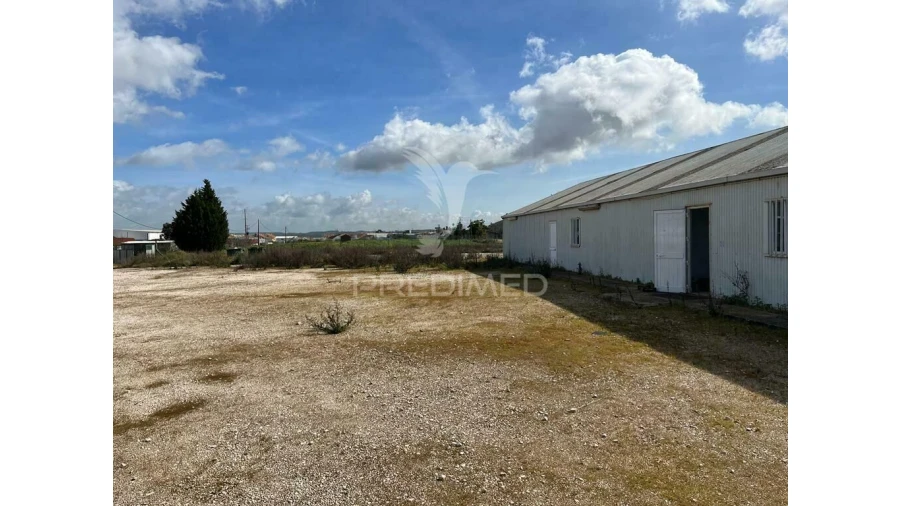 Terreno para Arrendamento em Abrigada e Cabanas de Torres Foto 4