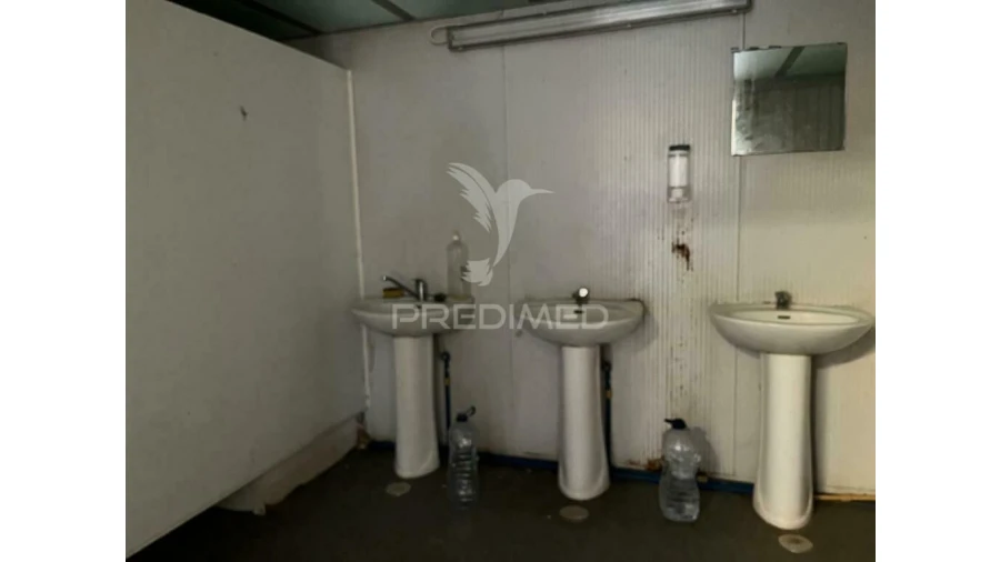 Terreno para Arrendamento em Abrigada e Cabanas de Torres Foto 12