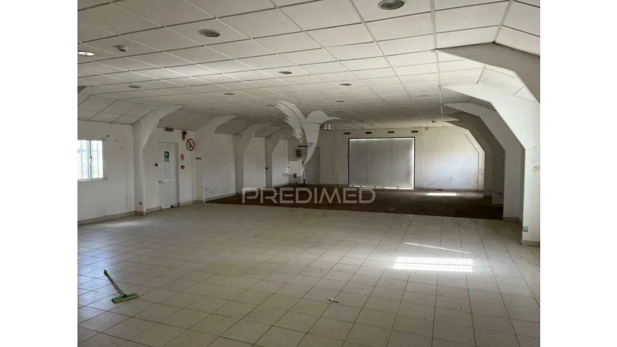 Terreno para Arrendamento em Abrigada e Cabanas de Torres Foto 6