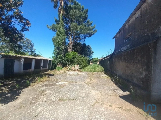 Moradia T6 para Venda em Vilar Foto 7