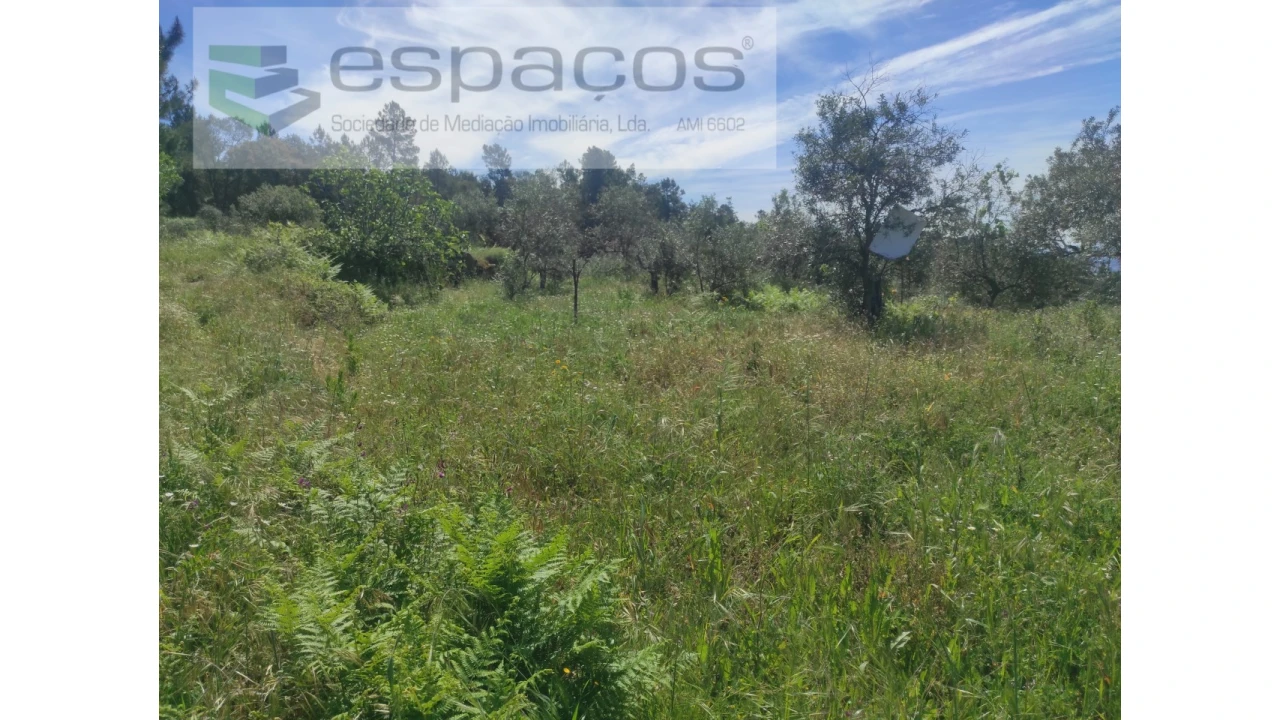 Terreno Agricola ou Rústico para Venda em São Vicente da Beira Foto 2