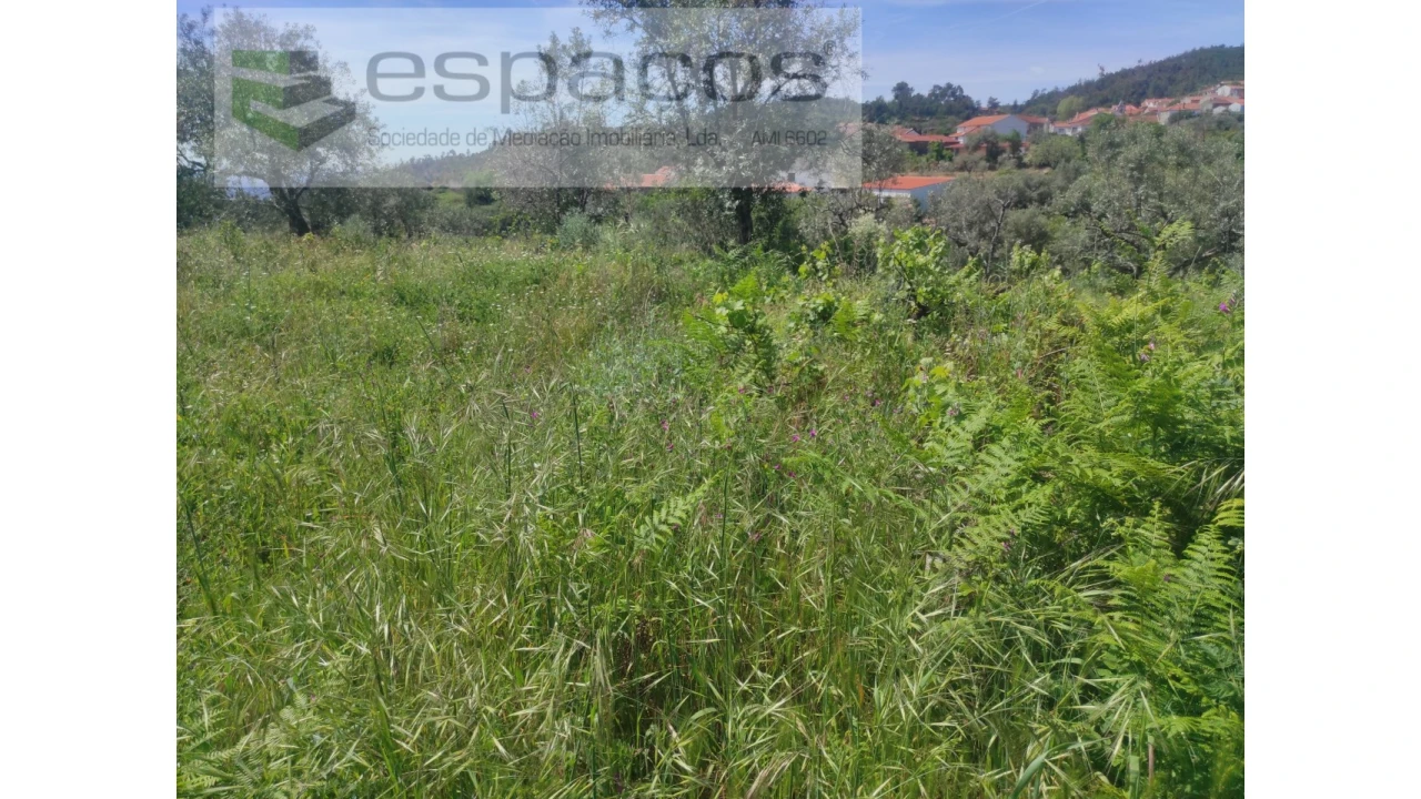 Terreno Agricola ou Rústico para Venda em São Vicente da Beira Foto 3