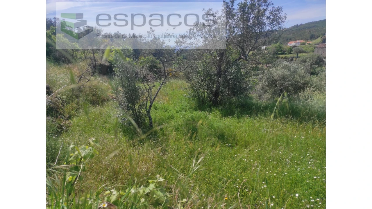 Terreno Agricola ou Rústico para Venda em São Vicente da Beira Foto 11