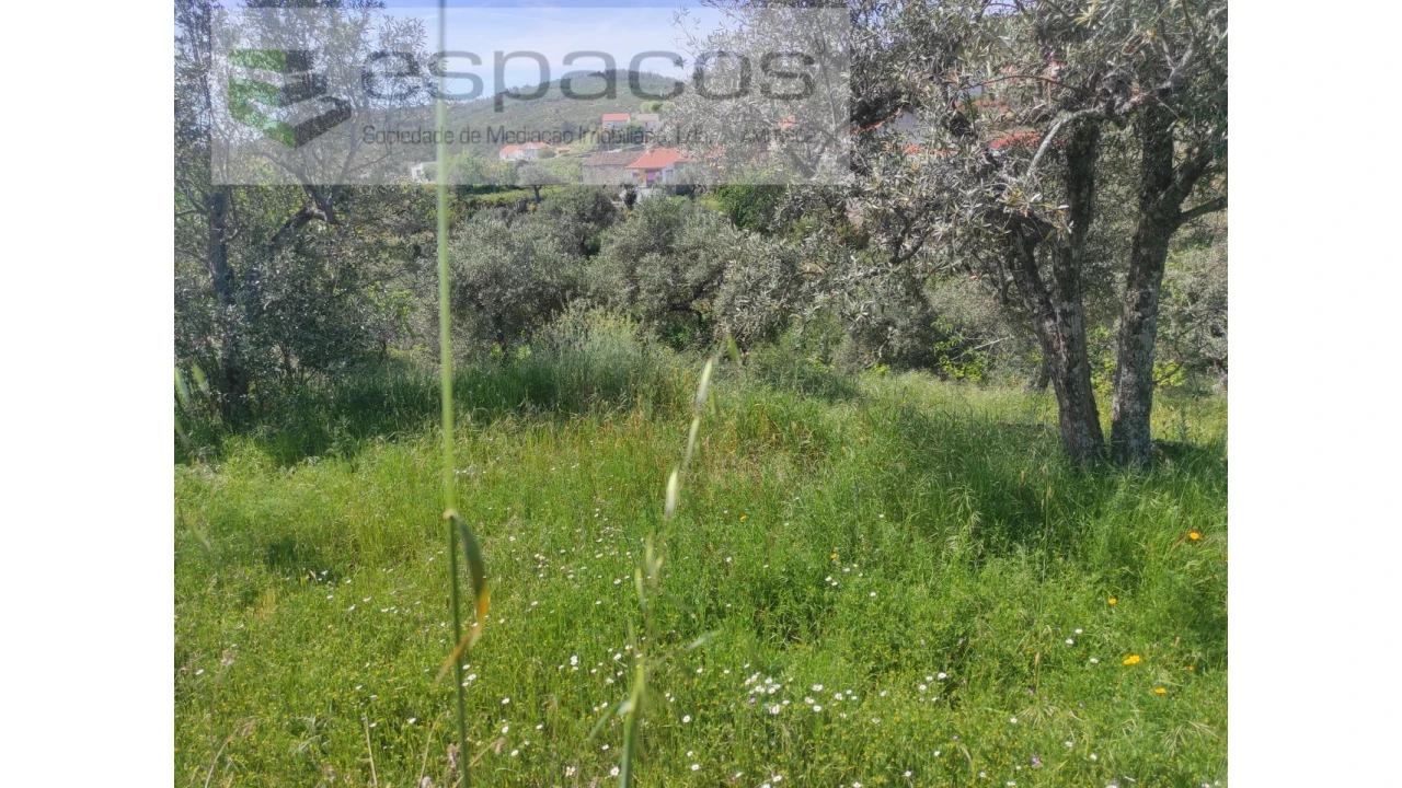 Terreno Agricola ou Rústico para Venda em São Vicente da Beira Foto 12