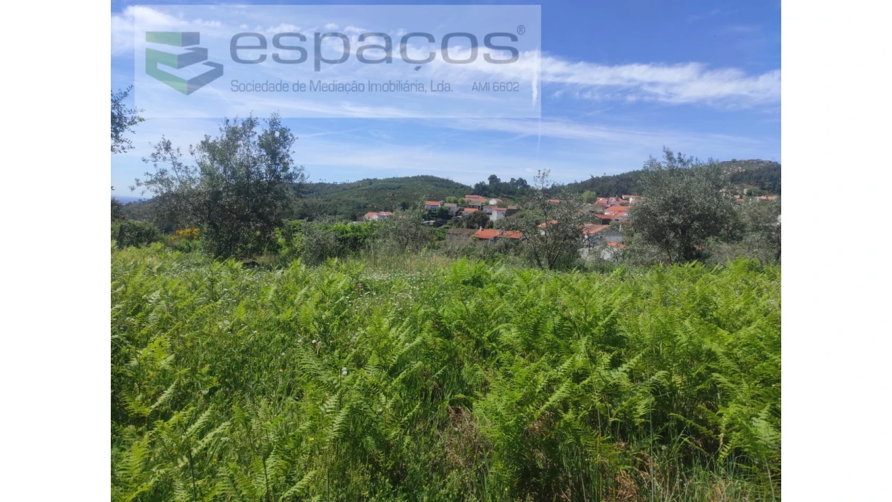 Terreno Agricola ou Rústico para Venda em São Vicente da Beira Foto 15