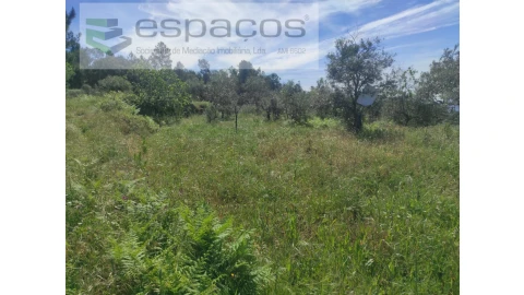 Terreno Agricola ou Rústico para Venda em São Vicente da Beira