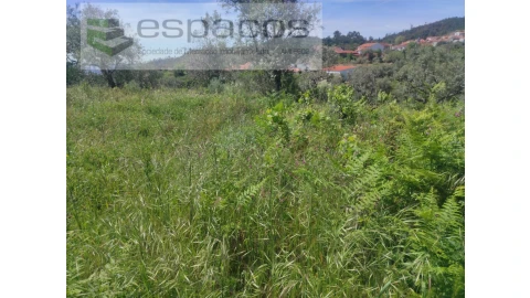 Terreno Agricola ou Rústico para Venda em São Vicente da Beira