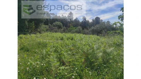 Terreno Agricola ou Rústico para Venda em São Vicente da Beira