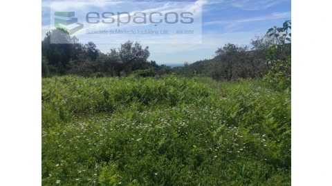 Terreno Agricola ou Rústico para Venda em São Vicente da Beira