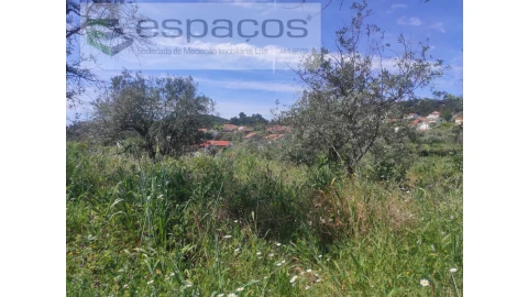 Terreno Agricola ou Rústico para Venda em São Vicente da Beira