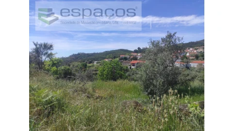 Terreno Agricola ou Rústico para Venda em São Vicente da Beira