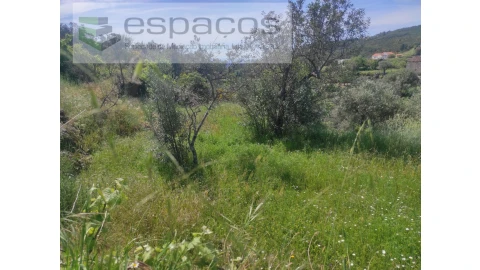 Terreno Agricola ou Rústico para Venda em São Vicente da Beira