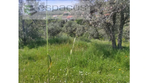 Terreno Agricola ou Rústico para Venda em São Vicente da Beira