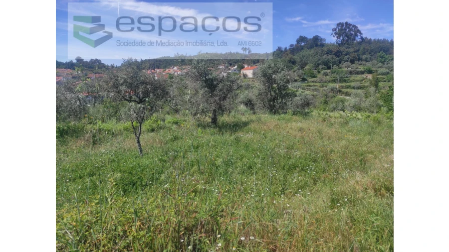 Terreno Agricola ou Rústico para Venda em São Vicente da Beira