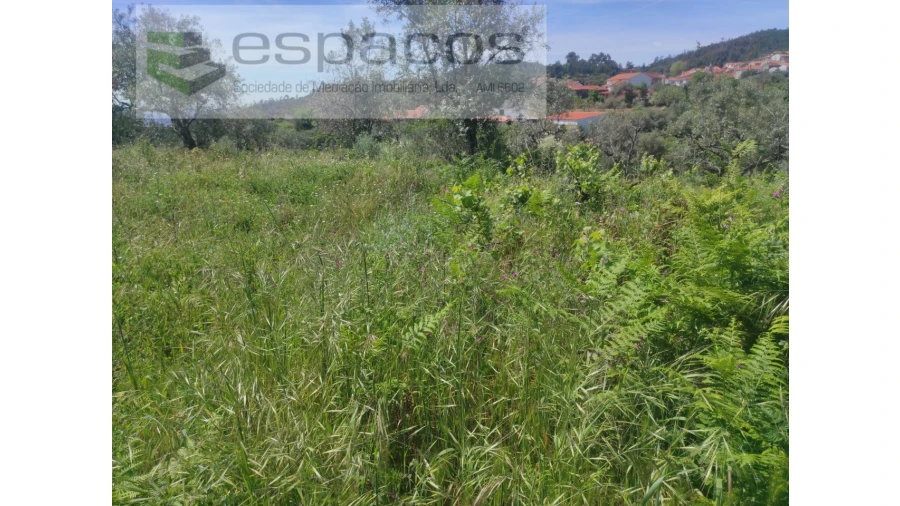 Terreno Agricola ou Rústico para Venda em São Vicente da Beira Foto 3